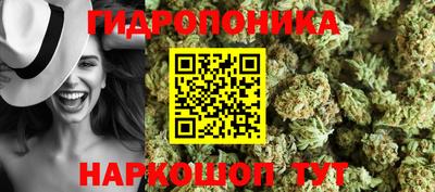 СК Гусь-Хрустальный
