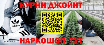 СК Гусь-Хрустальный