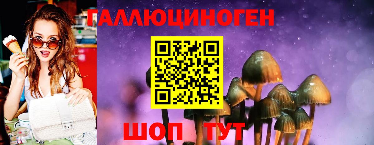 Псилоцибиновые грибы MAGIC MUSHROOMS  Вход с VPN  Медногорск 