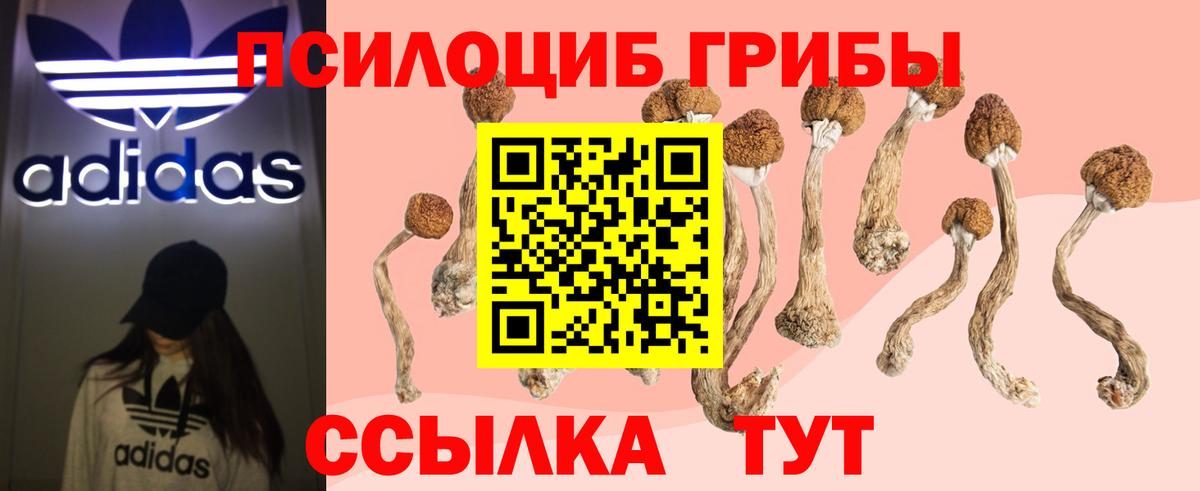 Псилоцибиновые грибы мухоморы Медногорск